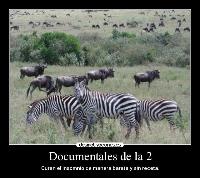 Documentales de la 2 - Curan el insomnio de manera barata y sin receta.