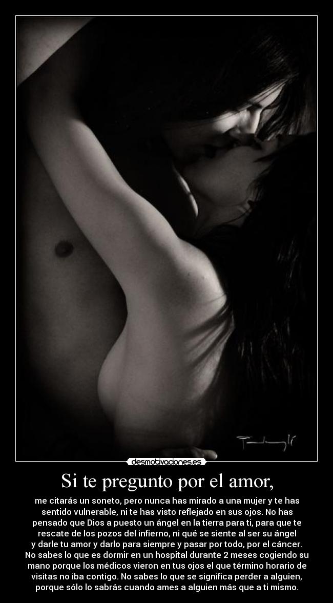 carteles amor amor indomable will hunting desmotivaciones