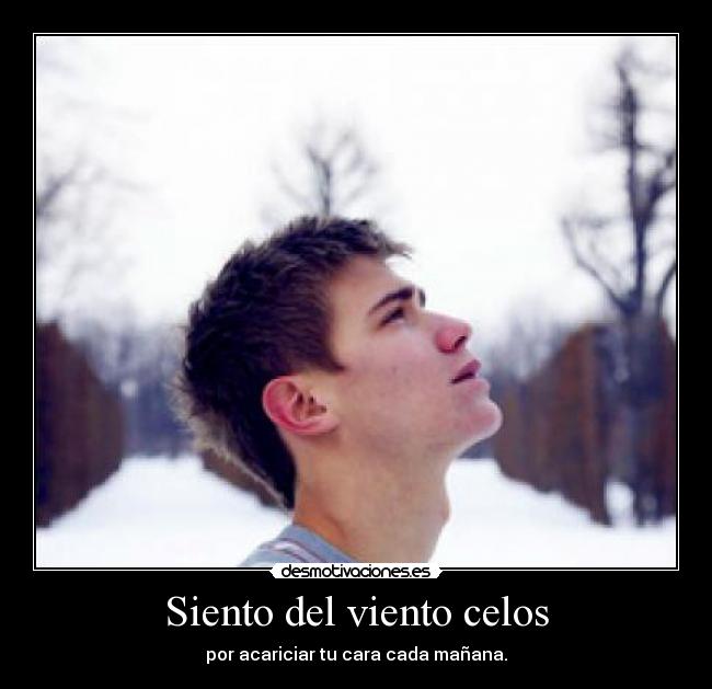 carteles celos celos del viento desmotivaciones