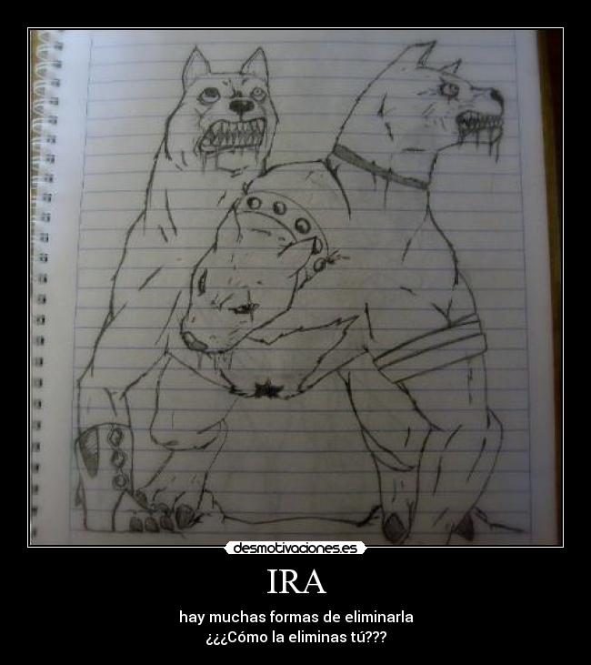 IRA - 