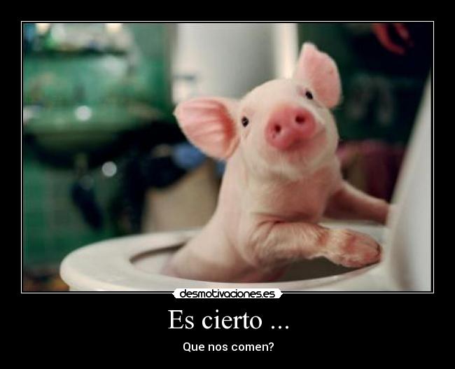 Es cierto ... -