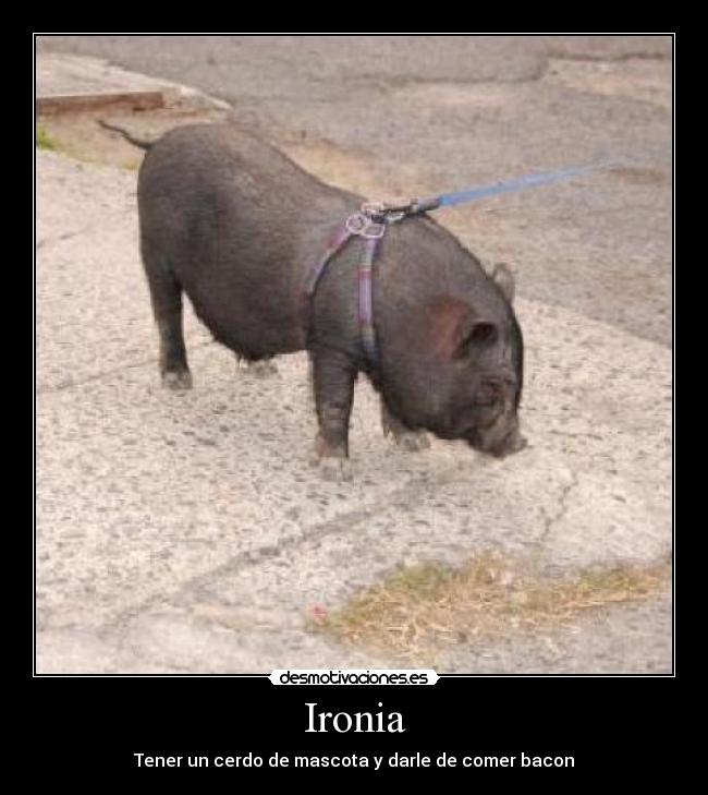 Ironia -