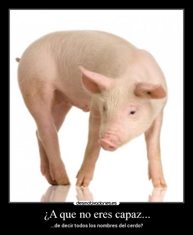 ¿A que no eres capaz... - ...de decir todos los nombres del cerdo?