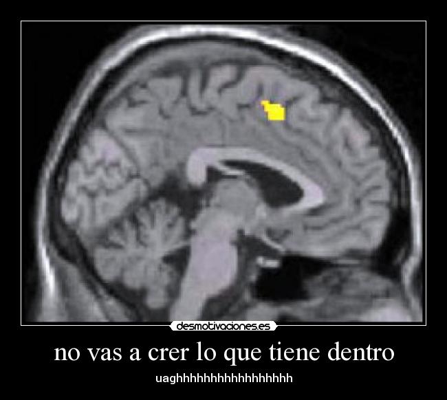 no vas a crer lo que tiene dentro -