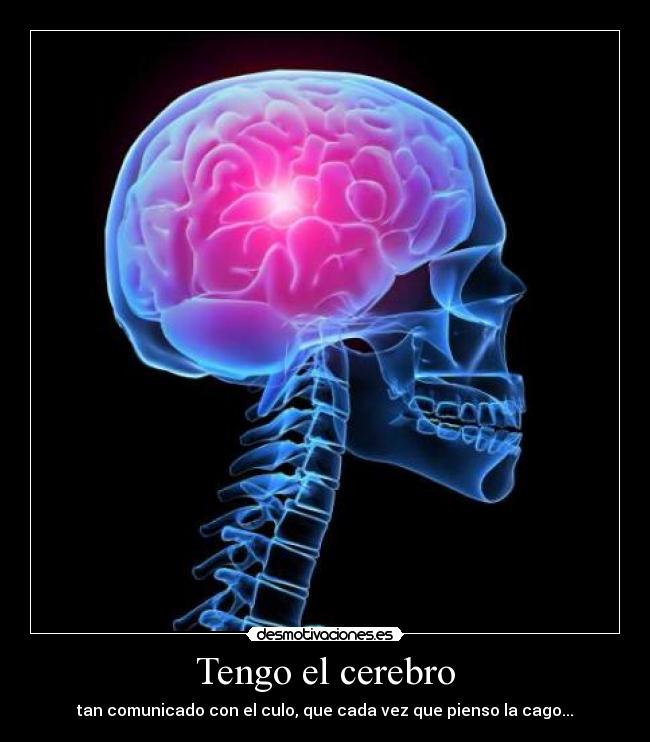 Tengo el cerebro -