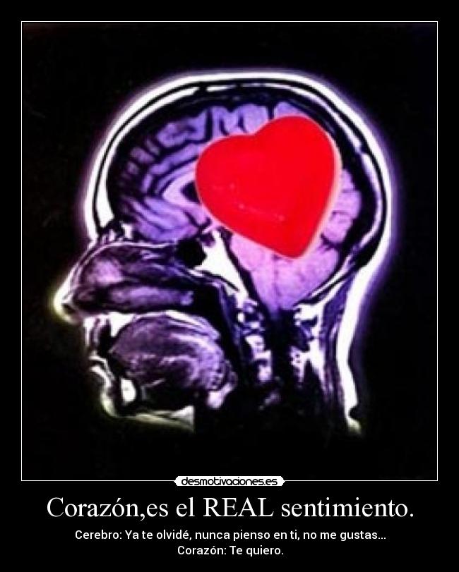 Corazón,es el REAL sentimiento. -