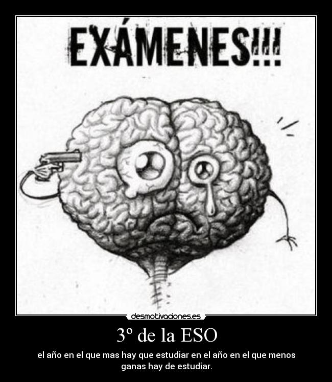 3º de la ESO - el año en el que mas hay que estudiar en el año en el que menos
ganas hay de estudiar.