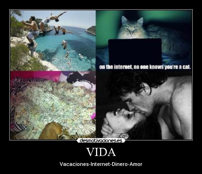 VIDA - Vacaciones-Internet-Dinero-Amor