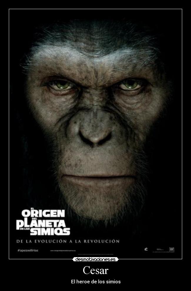 carteles javier gutierrez desmotivaciones