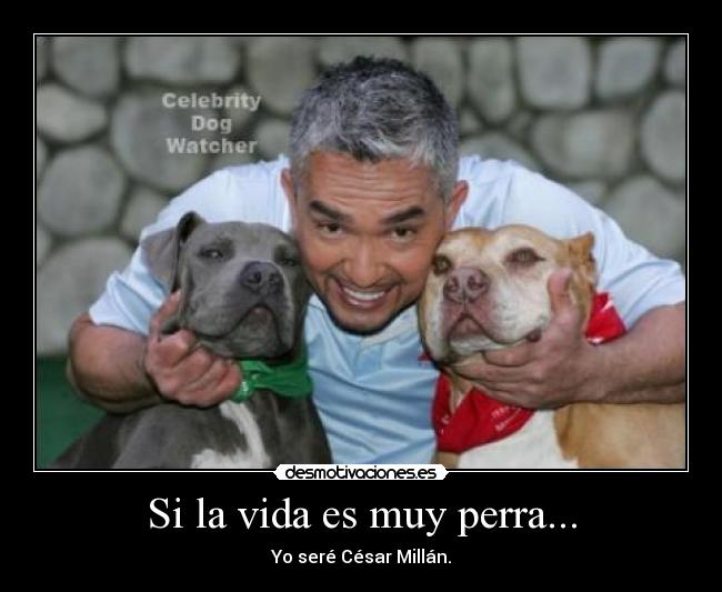 Si la vida es muy perra... - 