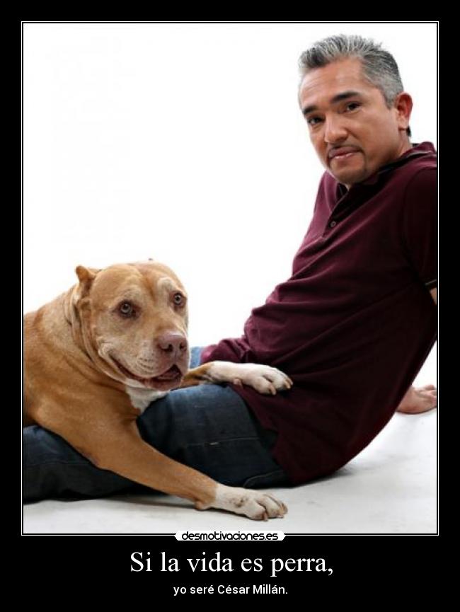 Si la vida es perra, - yo seré César Millán.