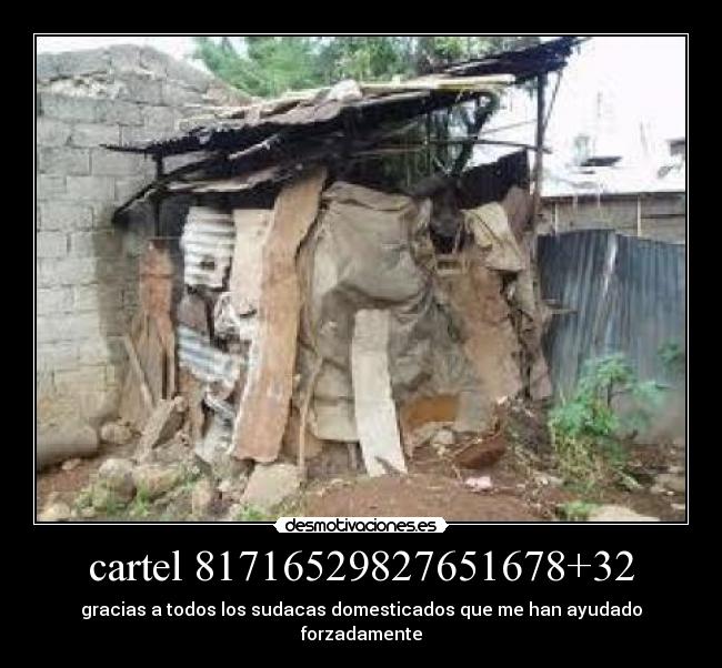 cartel 81716529827651678+32 -