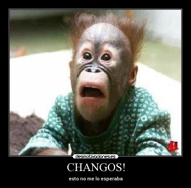 Imagenes de changos con frases de hermanos Imagui