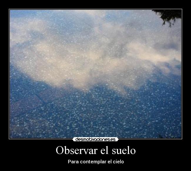 Observar el suelo - Para contemplar el cielo