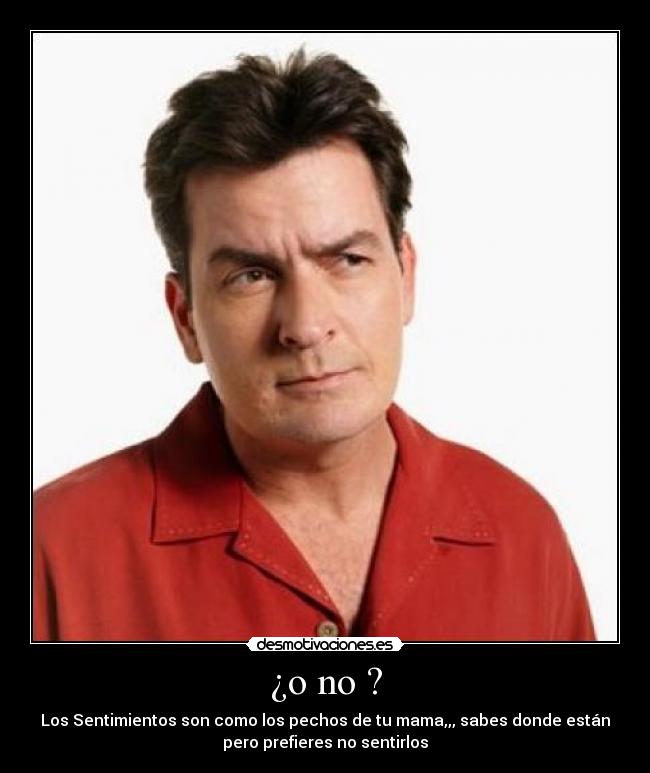 carteles los sentimientos son como los pechos mama desmotivaciones