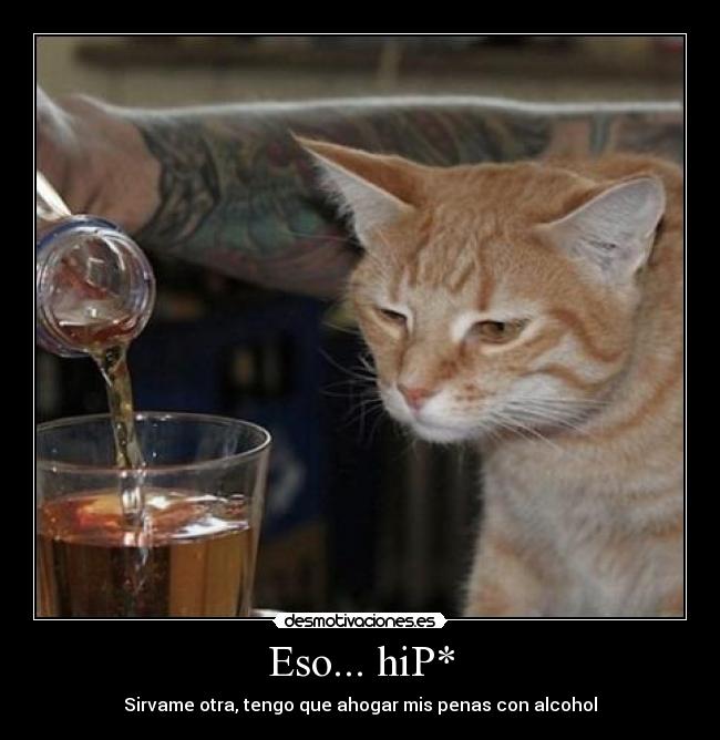 Eso... hiP* - 
