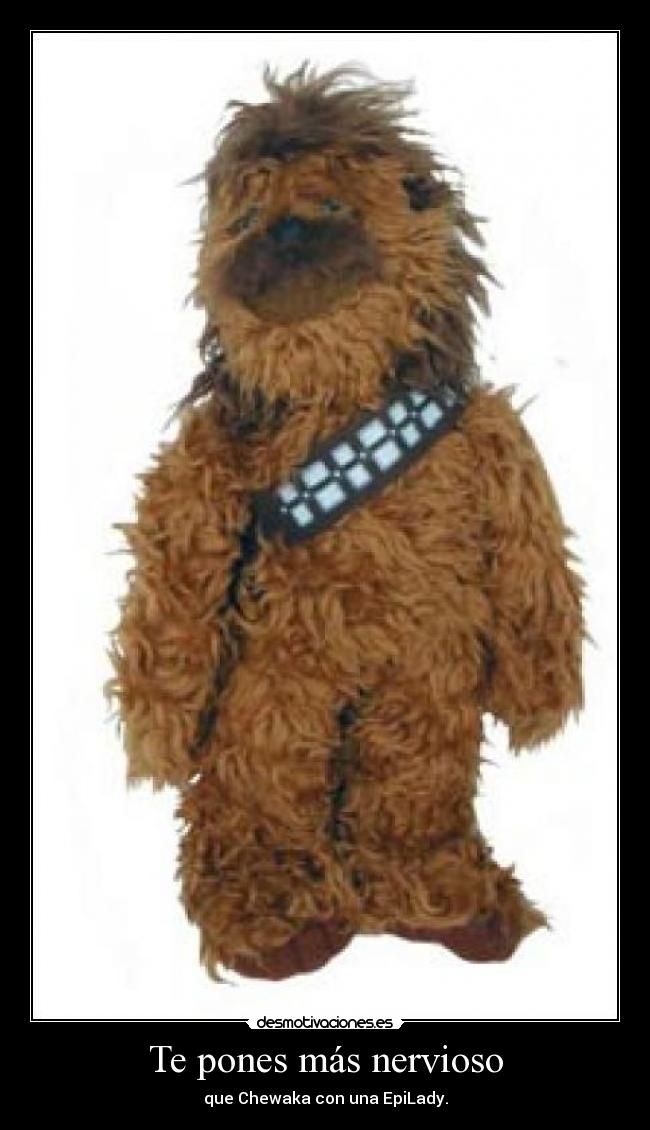 carteles peluche chewaka desmotivaciones