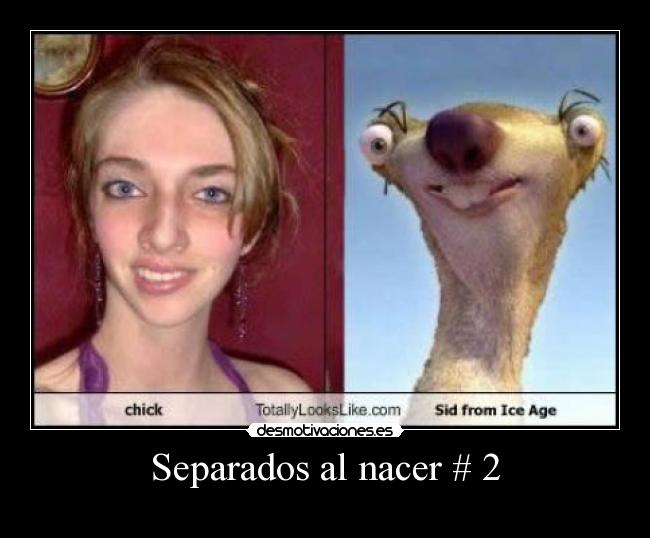 Separados al nacer # 2 -