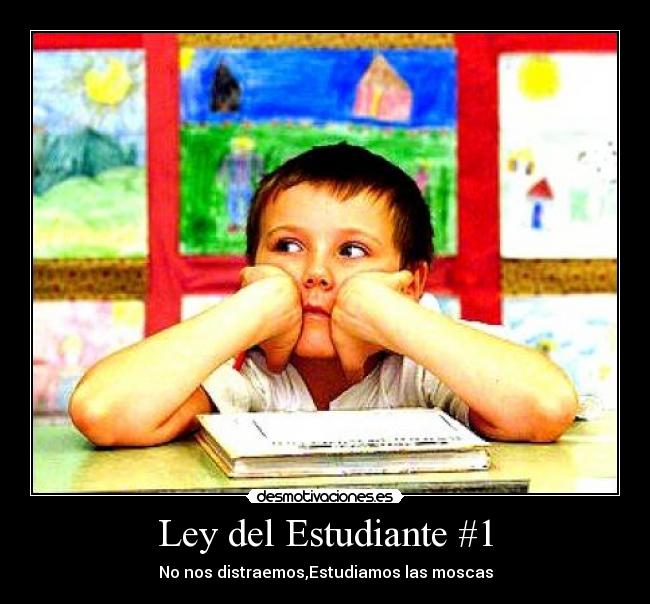 Ley del Estudiante #1 - 