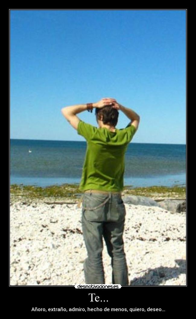 Te... - Añoro, extraño, admiro, hecho de menos, quiero, deseo...