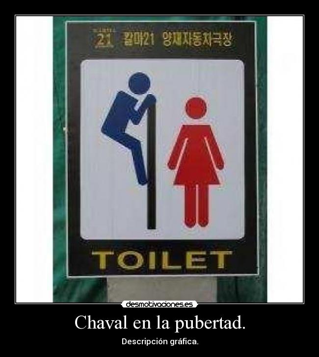 Chaval en la pubertad. - Descripción gráfica.