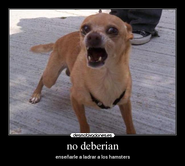 no deberian -