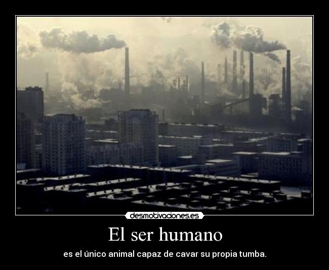 El ser humano -