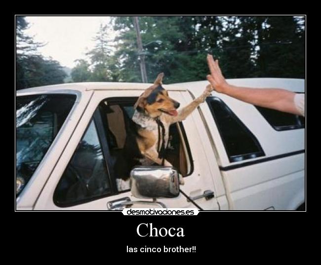 Choca -