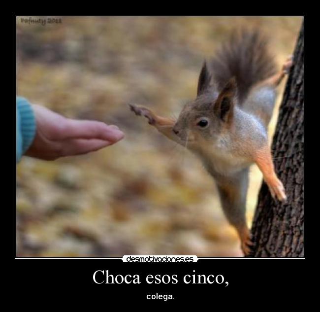 Choca esos cinco, - colega.