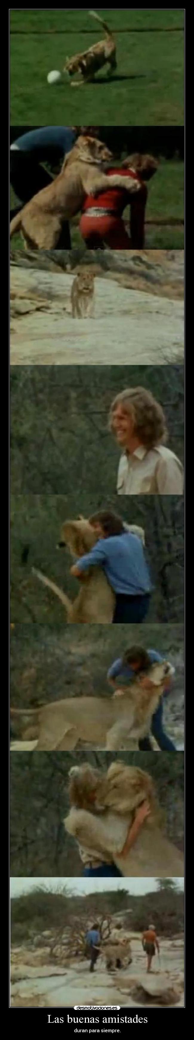 Las buenas amistades -