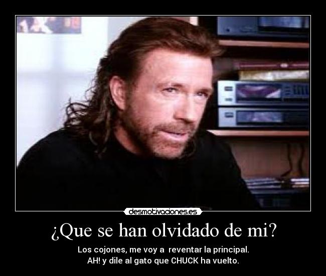 ¿Que se han olvidado de mi? - Los cojones, me voy a  reventar la principal.
AH! y dile al gato que CHUCK ha vuelto.