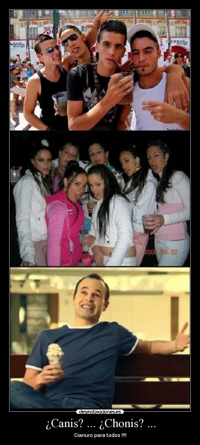 ¿Canis? ... ¿Chonis? ... -