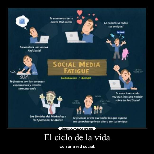 El ciclo de la vida -