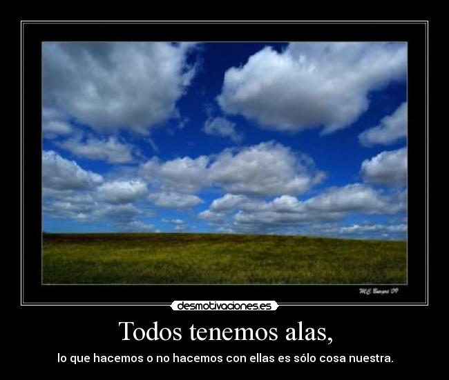 Todos tenemos alas, - lo que hacemos o no hacemos con ellas es sólo cosa nuestra.