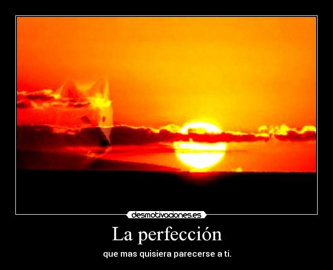 La perfección -