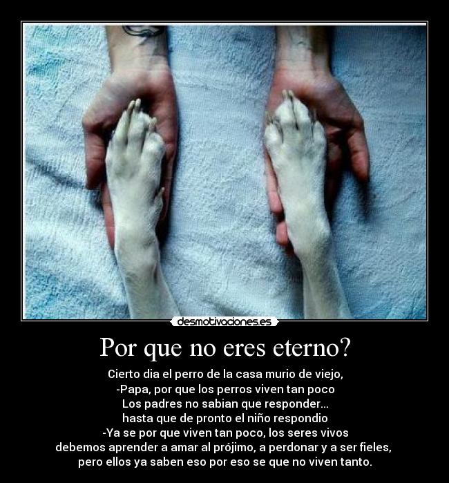 Por que no eres eterno? -