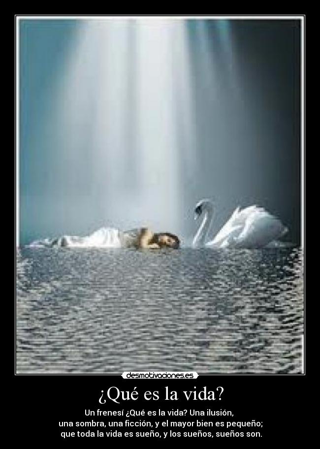 ¿Qué es la vida? -