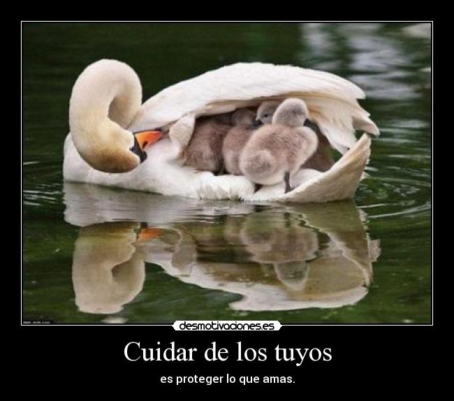 Cuidar de los tuyos - es proteger lo que amas.