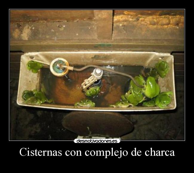 carteles desmotivaciones desmotivaciones