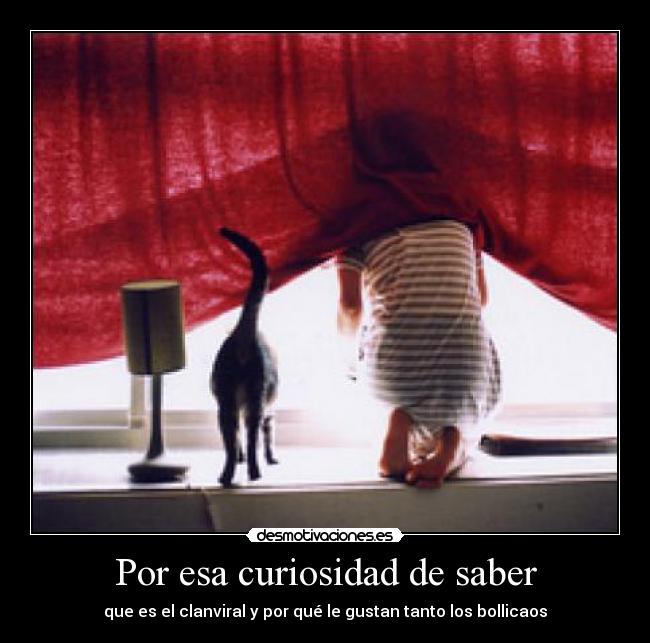 Por esa curiosidad de saber - que es el clanviral y por qué le gustan tanto los bollicaos