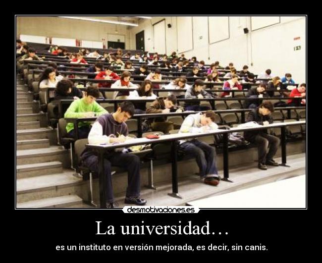 La universidad… - 