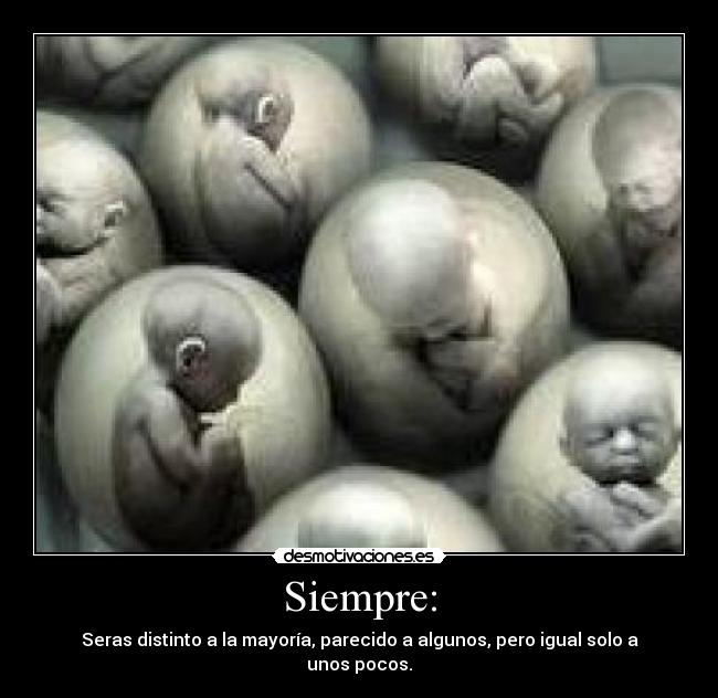 Siempre: - Seras distinto a la mayoría, parecido a algunos, pero igual solo a unos pocos.