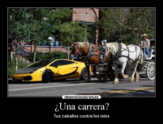 ¿Una carrera? - 