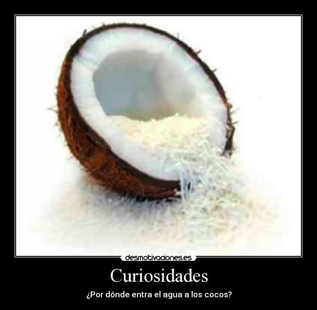 Curiosidades - 