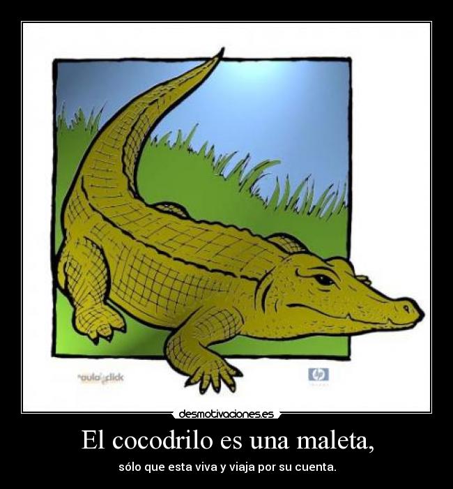 El cocodrilo es una maleta, - sólo que esta viva y viaja por su cuenta.