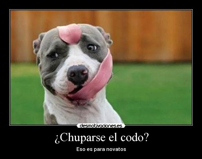 ¿Chuparse el codo? -