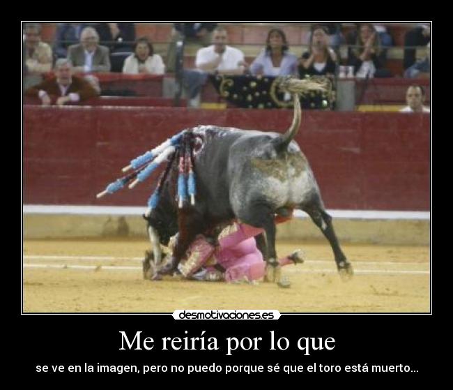 Me reiría por lo que - se ve en la imagen, pero no puedo porque sé que el toro está muerto...