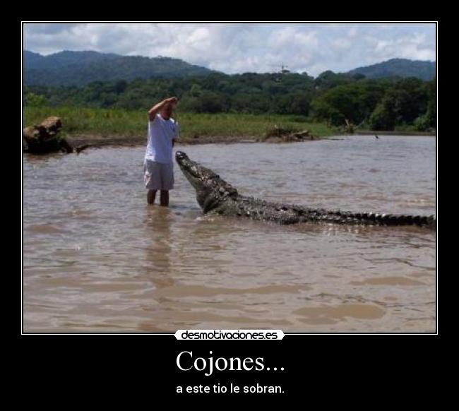 Cojones... -