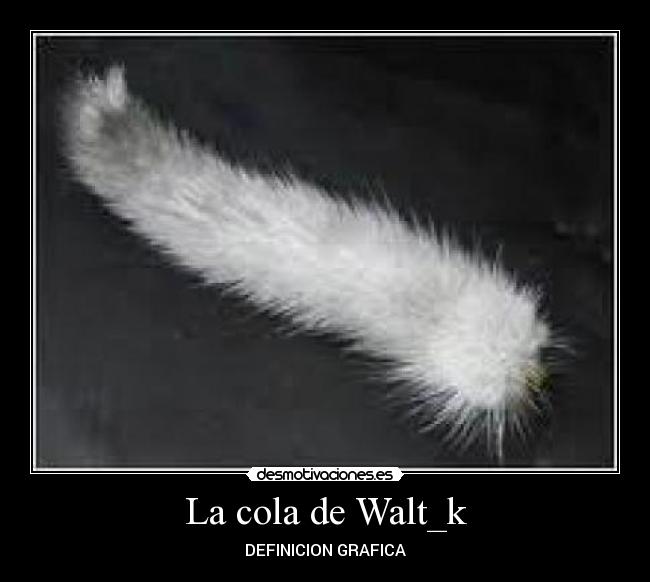 La cola de Walt_k - 