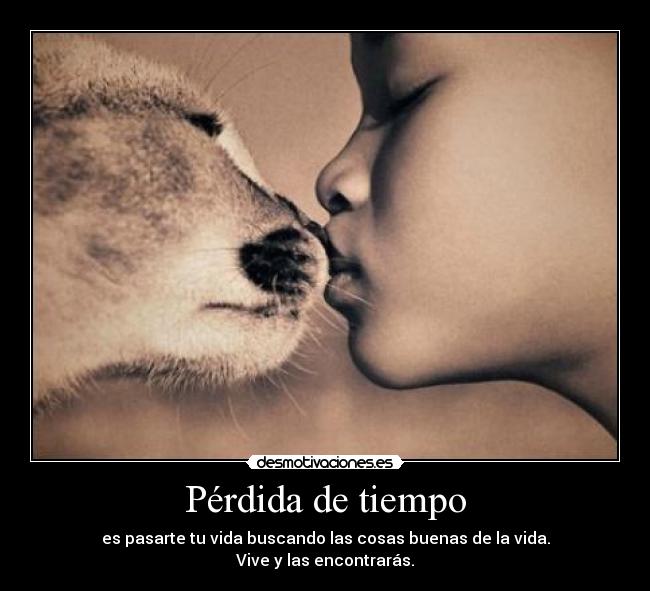 Pérdida de tiempo - es pasarte tu vida buscando las cosas buenas de la vida.
Vive y las encontrarás.